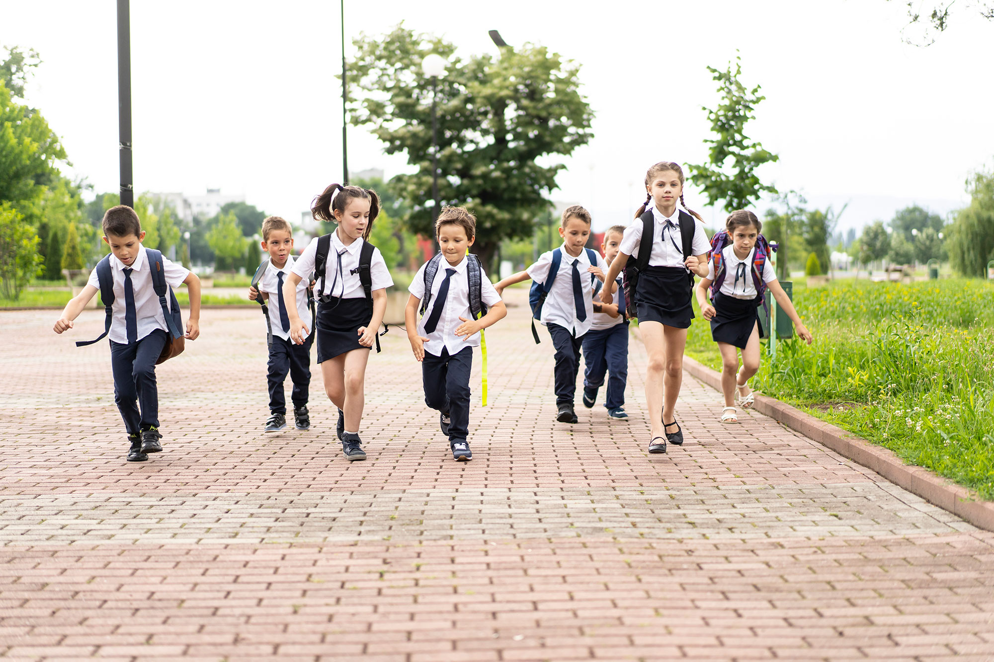 Unify Your School with a Fully Integrated, Secure Cloud-based K-12 School Suite